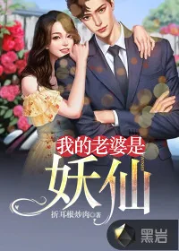 《我的老婆是妖仙》小说封面