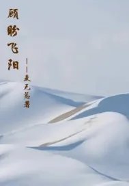 《顾盼飞阳》小说封面