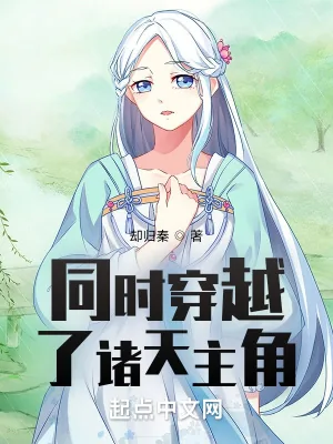 《同时穿越了诸天主角》小说封面