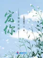 《宠你偏爱无度》小说封面