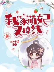 《我家萌妃又掉线》小说封面