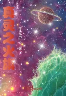 《真灵之火旗》小说封面