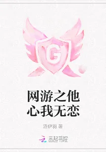 《网游之他心我无恋》小说封面