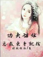 《功夫甜妞：总裁束手就擒》小说封面