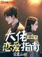 《大佬请收下恋爱指南》小说封面