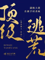 《顶级逃荒，满级大佬在新手村杀疯》小说封面