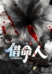 《借命人》小说封面