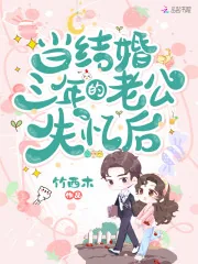 《当结婚三年的老公失忆后》小说封面