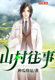 《山村往事》小说封面