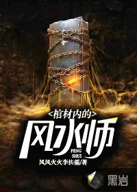 《棺材内的风水师》小说封面