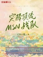 《突降顶流MSN战队》小说封面