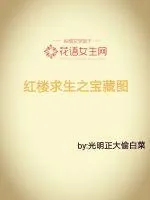 《红楼求生之宝藏图》小说封面