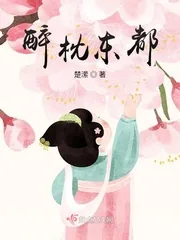 《醉枕东都》小说封面