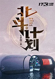 《北斗计划》小说封面