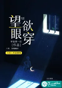 《望眼欲穿》小说封面