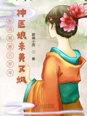 《反派崽崽三岁半：神医娘亲美又飒》小说封面