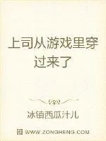 《上司从游戏里穿过来了》小说封面