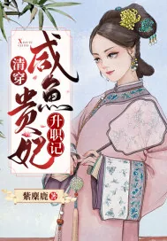 《清穿：咸鱼贵妃升职记》小说封面