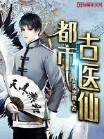 《龙门医婿叶不凡唐飞雪》小说封面