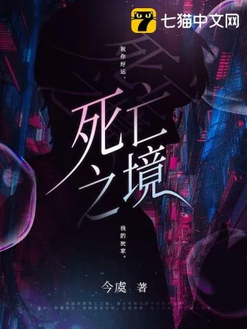 《死亡之境》小说封面