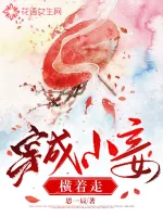 《穿成小妾横着走》小说封面