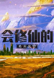 《会修仙的哈利波特》小说封面