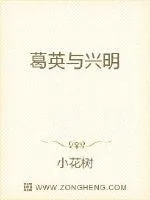 《葛英与兴明》小说封面