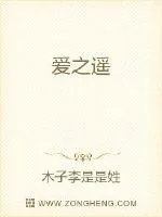 《爱之遥》小说封面