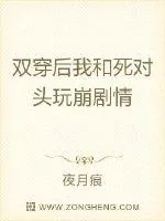 《双穿后我和死对头玩崩剧情》小说封面