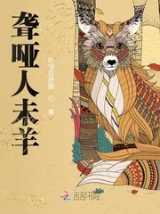 《聋哑人未羊》小说封面