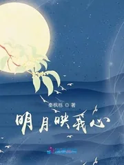 《明月映我心》小说封面
