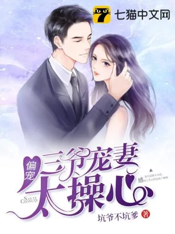 《三爷宠妻太操心》小说封面