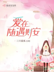 《爱在随遇则安》小说封面