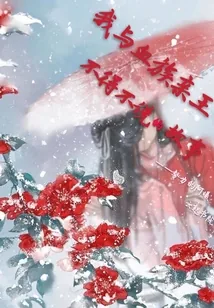 《我与血族亲王不得不说的故事》小说封面