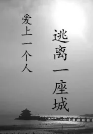《爱上一个人逃离一座城》小说封面