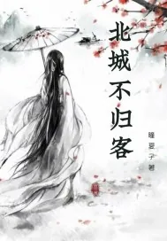《北城不归客》小说封面