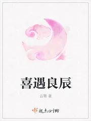 《喜遇良辰》小说封面