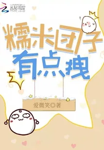 《糯米团子有点拽》小说封面
