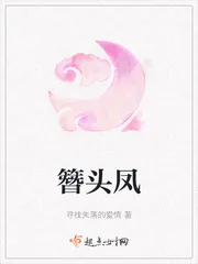 《簪头凤》小说封面