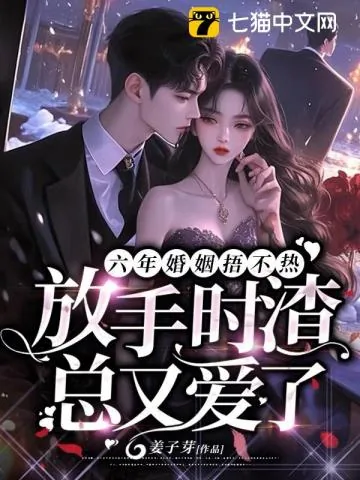 《六年婚姻失望至极，她走后渣总却疯了》小说封面