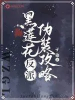《黑莲花反派伪装攻略》小说封面