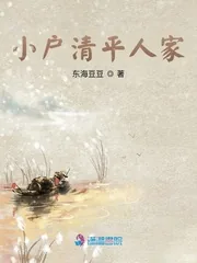 《小户清平人家》小说封面