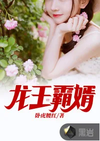 《龙王霸婿》小说封面