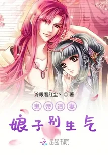 《鬼帝追妻娘子别生气》小说封面
