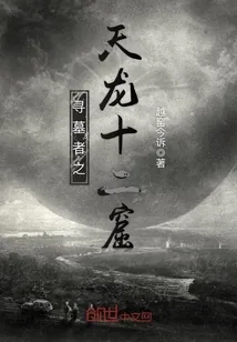 《寻墓者之天龙十二窟》小说封面