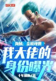《海贼：金榜现世，我大佬的身份曝光了》小说封面