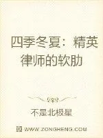 《四季冬夏：精英律师的软肋》小说封面