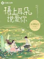《捂上耳朵说爱你》小说封面