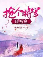 《抢个将军暖被窝》小说封面