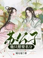 《苏公子他只想要名分》小说封面